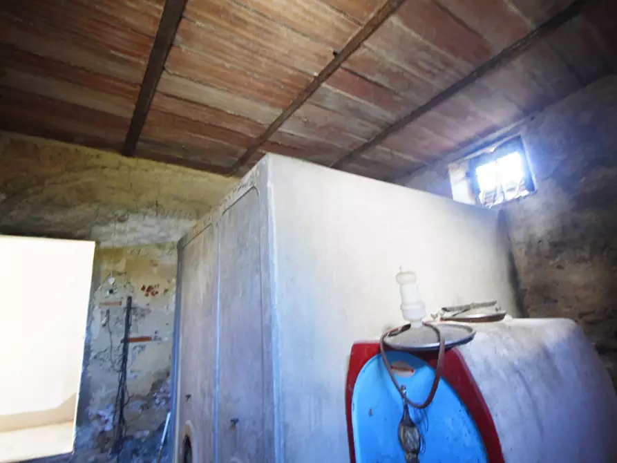Immagine 10 di Casa colonica in vendita  a Vinci