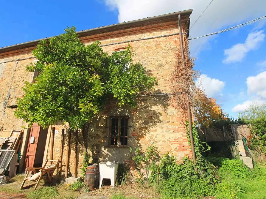 Immagine 17 di Casa colonica in vendita  a Vinci