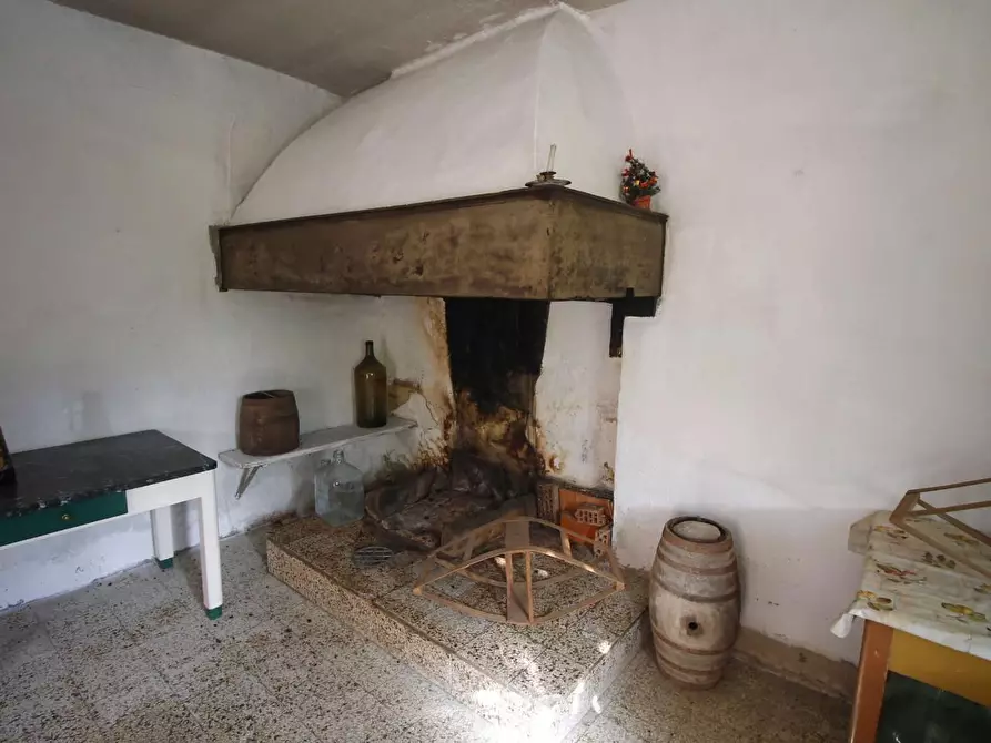 Immagine 4 di Casa colonica in vendita  a Vinci