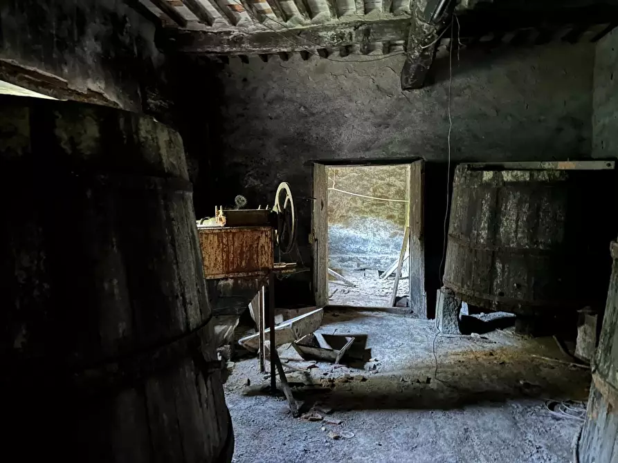 Immagine 39 di Casa colonica in vendita  a Castelnuovo Di Garfagnana