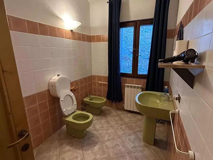 Immagine 23 di Casa colonica in vendita  a Castelnuovo Di Garfagnana