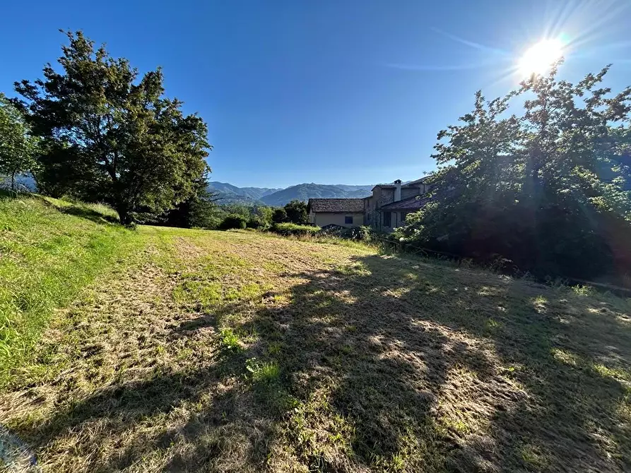 Immagine 4 di Casa colonica in vendita  a Castelnuovo Di Garfagnana