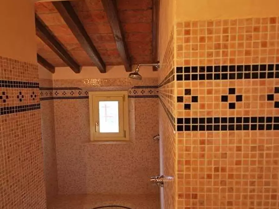 Immagine 16 di Rustico / casale in vendita  a Casciana Terme Lari