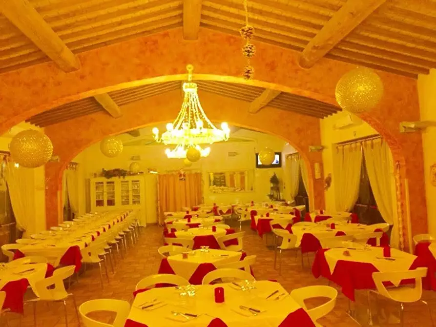 Immagine 5 di Bar / Ristorante in vendita  a Palaia