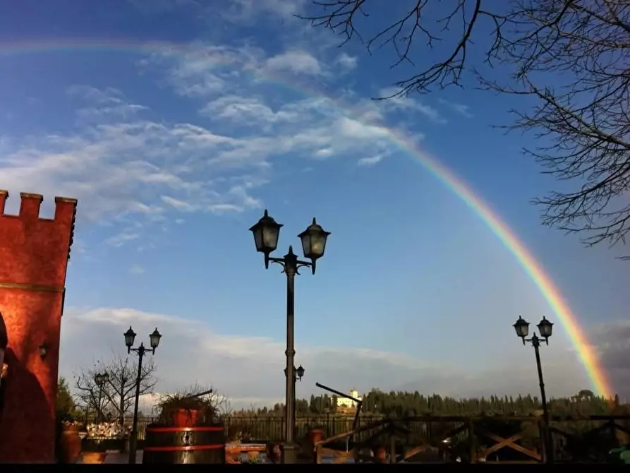 Immagine 7 di Bar / Ristorante in vendita  a Palaia