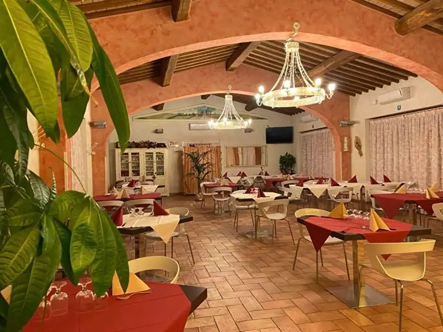 Immagine 4 di Bar / Ristorante in vendita  a Palaia