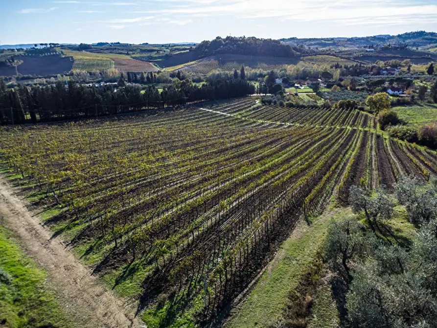 Immagine 29 di Casa colonica in vendita  a Empoli