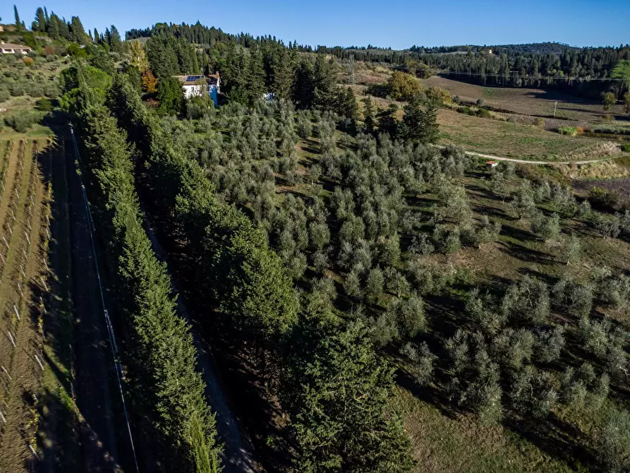 Immagine 31 di Casa colonica in vendita  a Empoli