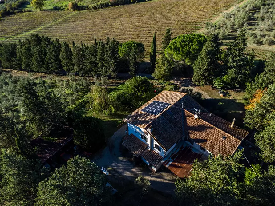 Immagine 40 di Casa colonica in vendita  a Empoli