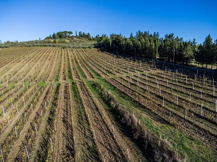 Immagine 30 di Casa colonica in vendita  a Empoli