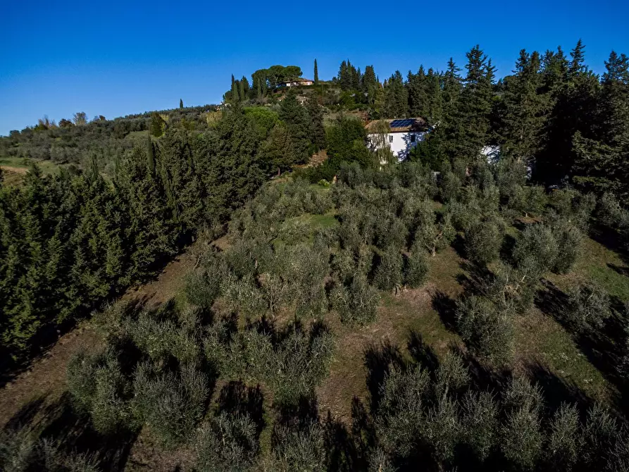 Immagine 36 di Casa colonica in vendita  a Empoli