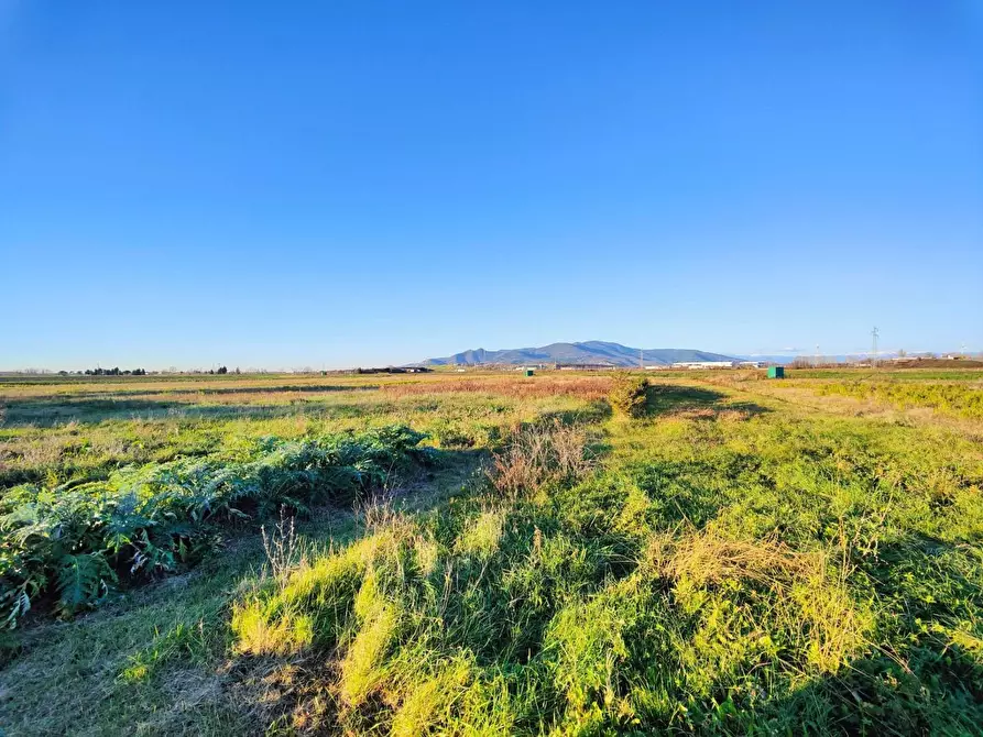 Immagine 47 di Casa colonica in vendita  a Pontedera