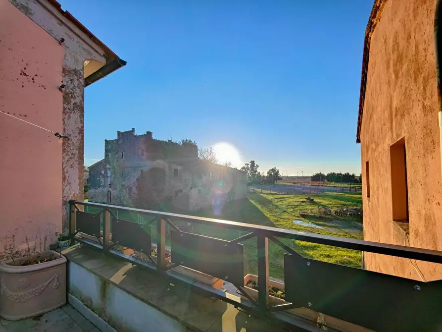 Immagine 26 di Casa colonica in vendita  a Pontedera