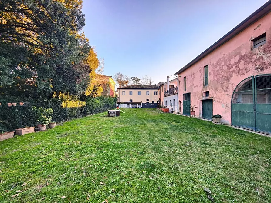 Immagine 5 di Casa colonica in vendita  a Pontedera