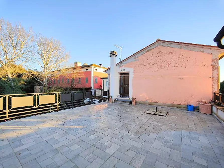 Immagine 28 di Casa colonica in vendita  a Pontedera