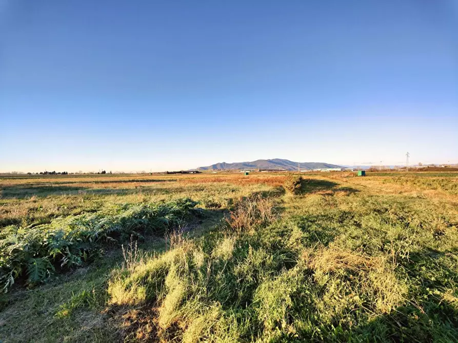 Immagine 48 di Casa colonica in vendita  a Pontedera