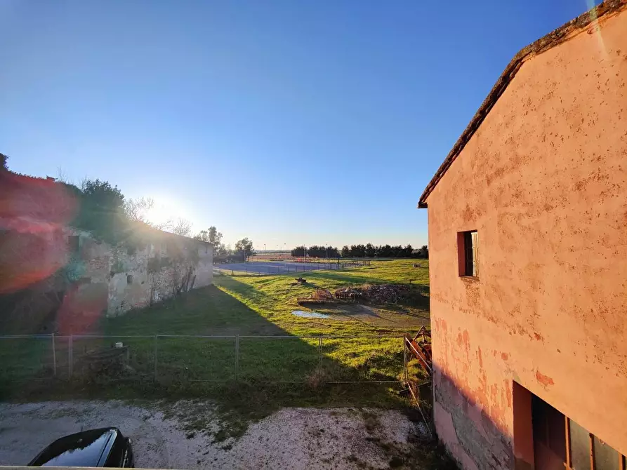 Immagine 27 di Casa colonica in vendita  a Pontedera