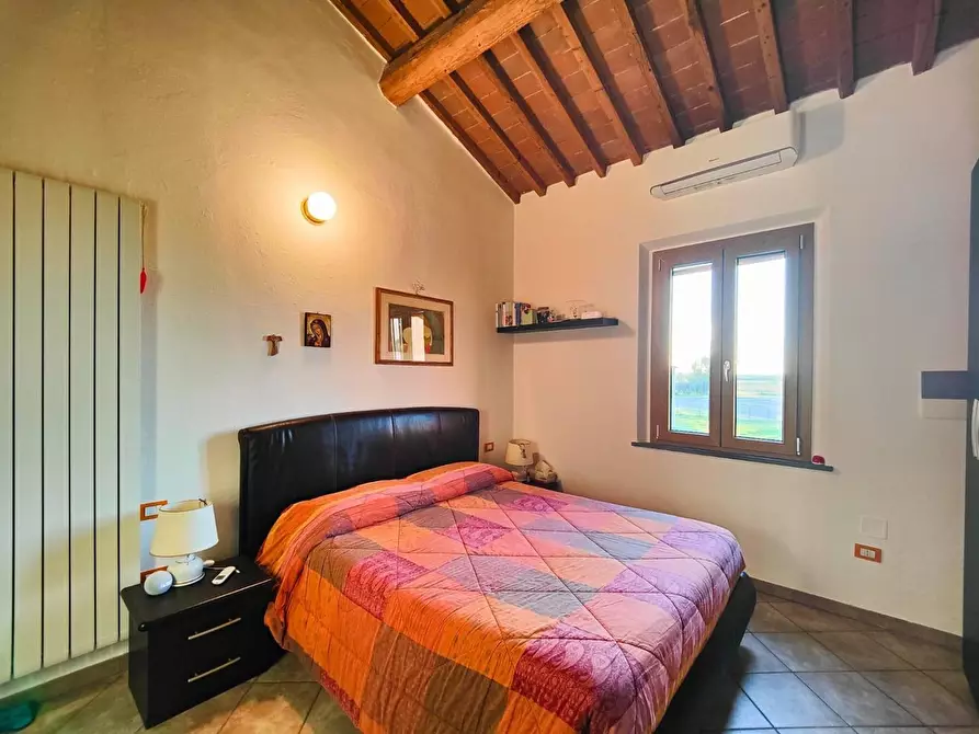 Immagine 17 di Casa colonica in vendita  a Pontedera