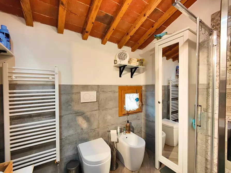 Immagine 23 di Casa colonica in vendita  a Pontedera