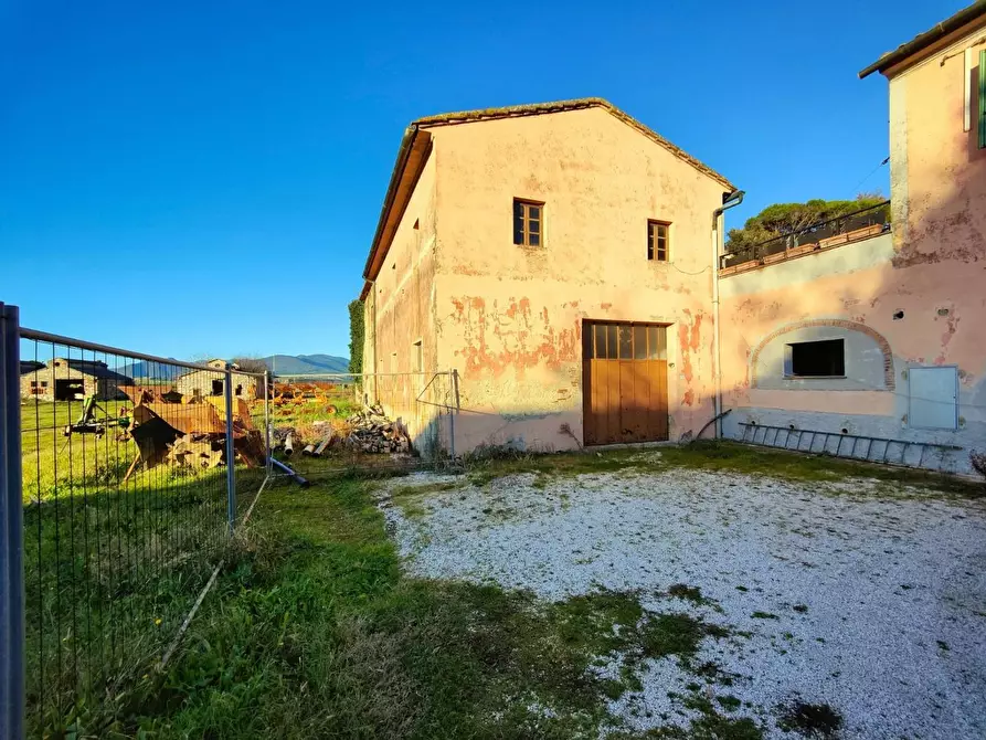 Immagine 51 di Casa colonica in vendita  a Pontedera