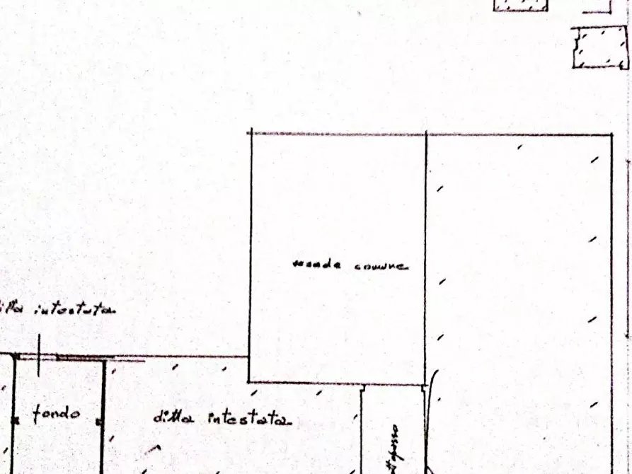 Immagine 62 di Casa colonica in vendita  a Pontedera