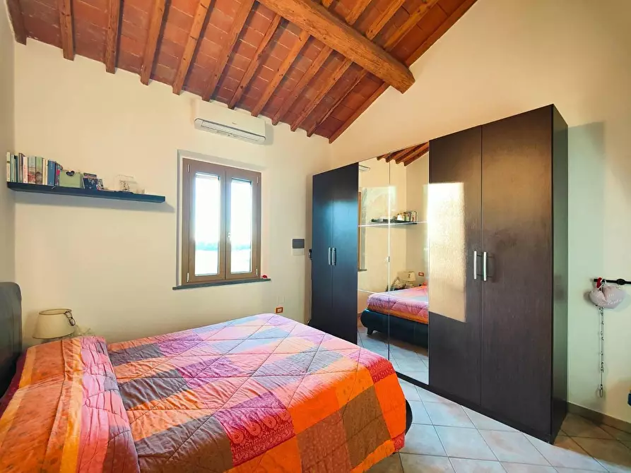 Immagine 19 di Casa colonica in vendita  a Pontedera