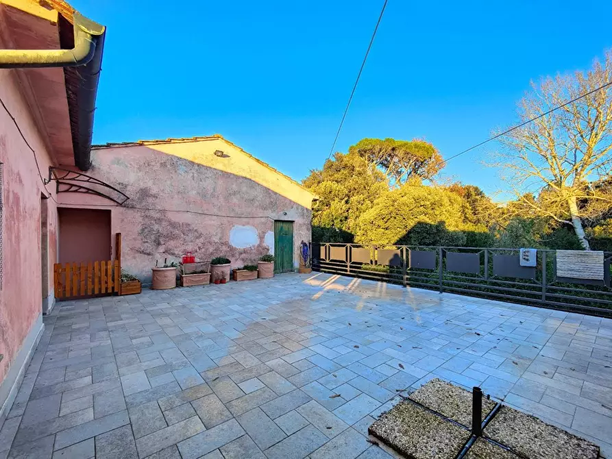 Immagine 29 di Casa colonica in vendita  a Pontedera