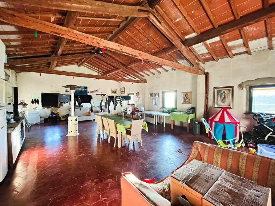 Immagine 33 di Casa colonica in vendita  a Pontedera