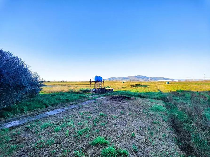 Immagine 49 di Casa colonica in vendita  a Pontedera