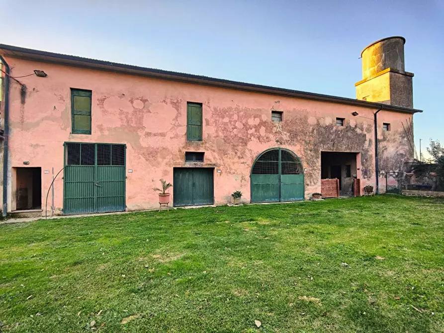 Immagine 42 di Casa colonica in vendita  a Pontedera