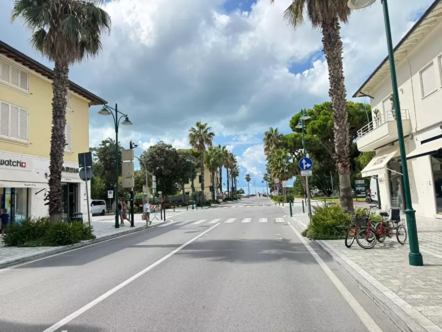 Immagine 30 di Villa in vendita  a Forte Dei Marmi