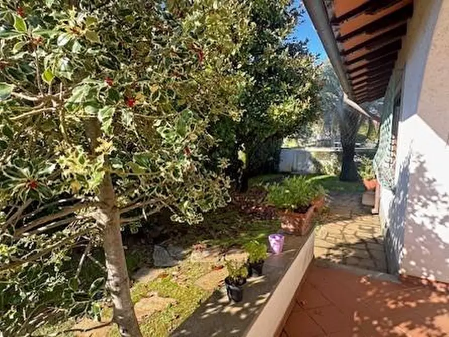 Immagine 6 di Villa in vendita  a Forte Dei Marmi