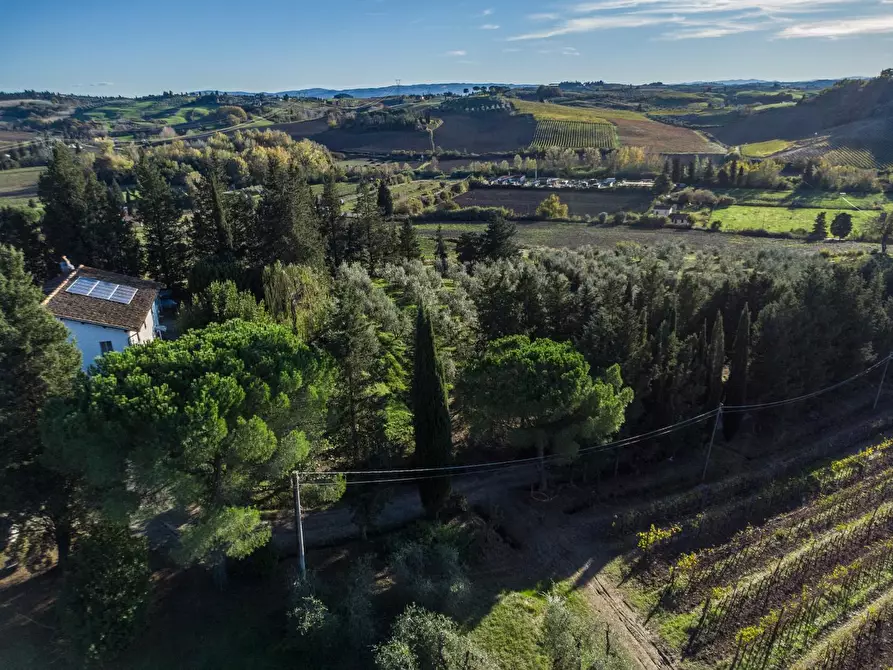 Immagine 18 di Azienda agricola in vendita  a Empoli