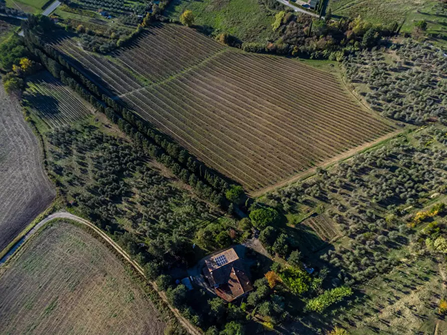 Immagine 16 di Azienda agricola in vendita  a Empoli