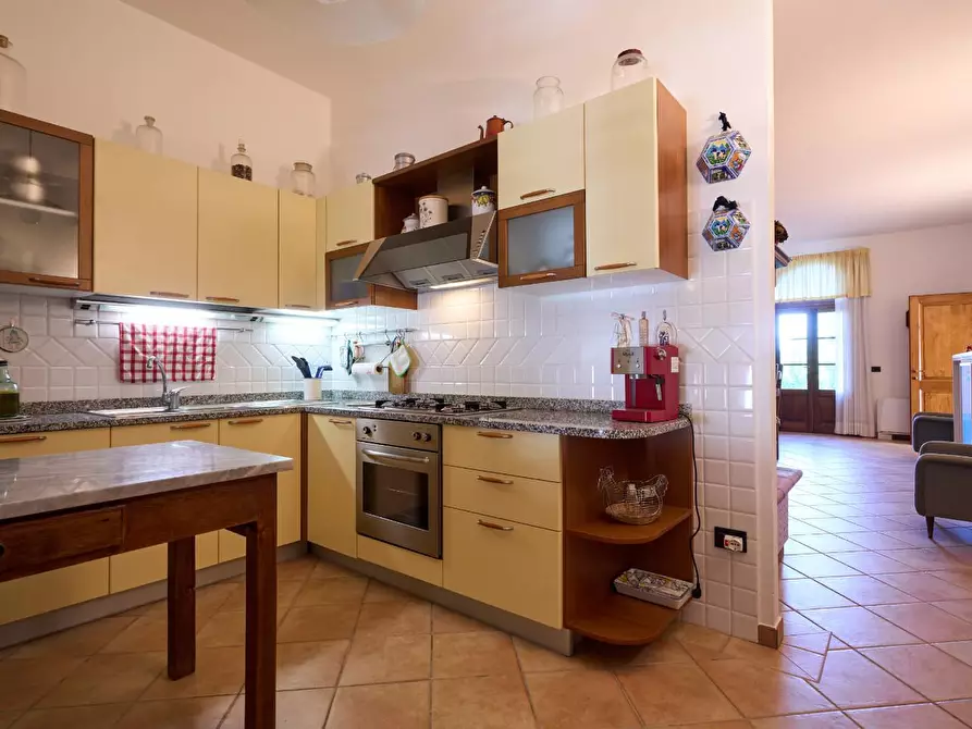 Immagine 22 di Azienda agricola in vendita  a Empoli