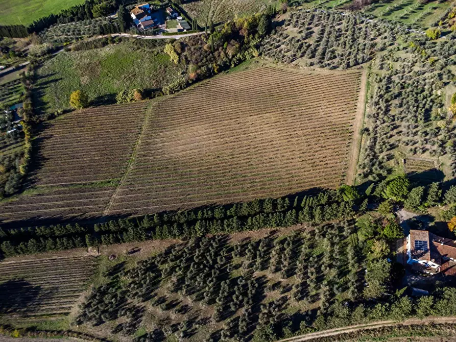 Immagine 3 di Azienda agricola in vendita  a Empoli