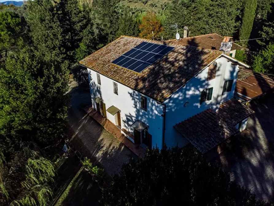 Immagine 13 di Azienda agricola in vendita  a Empoli