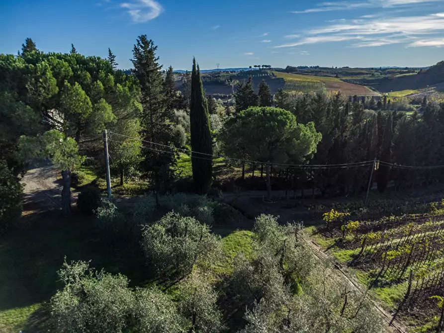 Immagine 7 di Azienda agricola in vendita  a Empoli