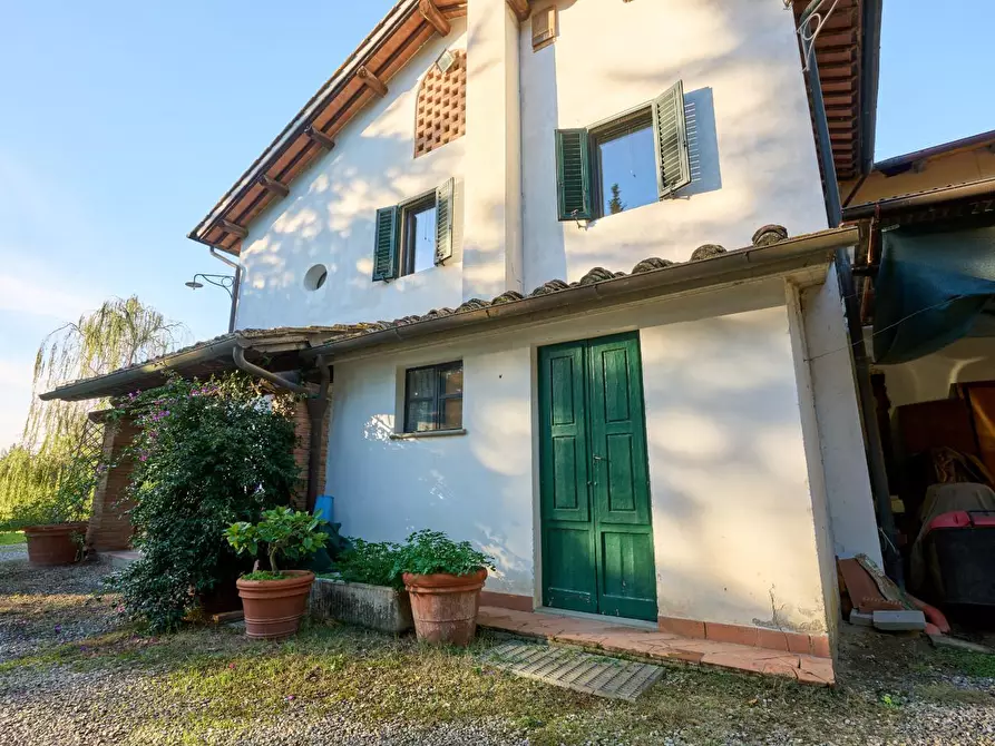 Immagine 44 di Azienda agricola in vendita  a Empoli