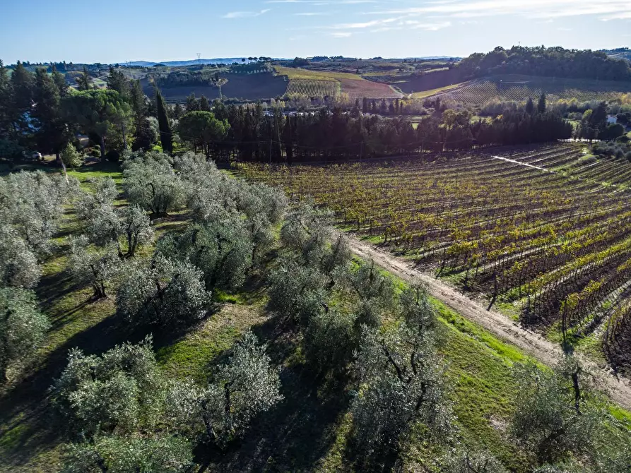 Immagine 1 di Azienda agricola in vendita  a Empoli