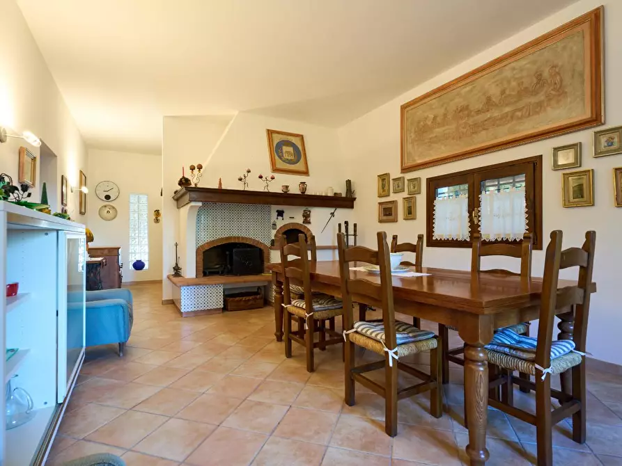 Immagine 21 di Azienda agricola in vendita  a Empoli