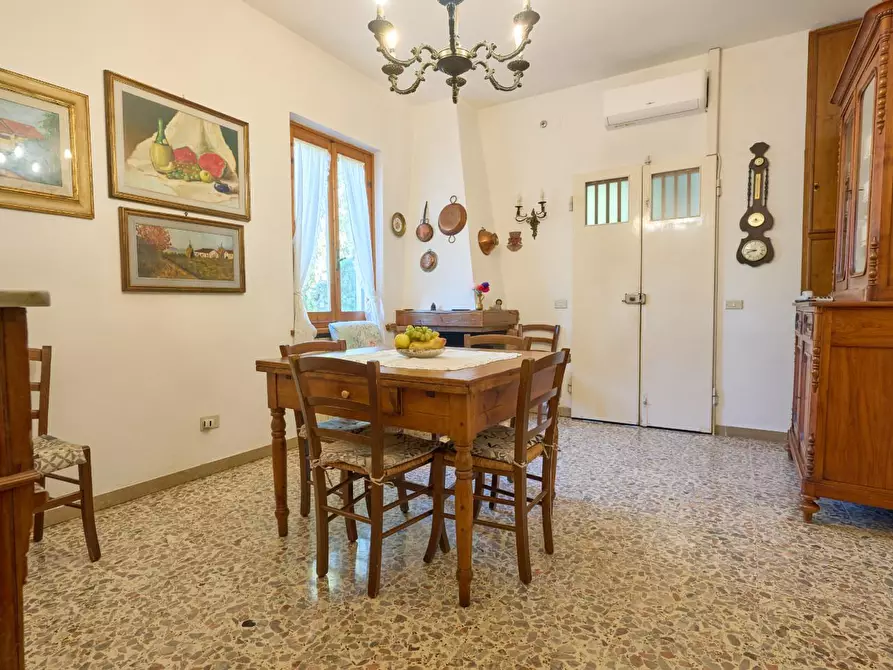 Immagine 39 di Azienda agricola in vendita  a Empoli