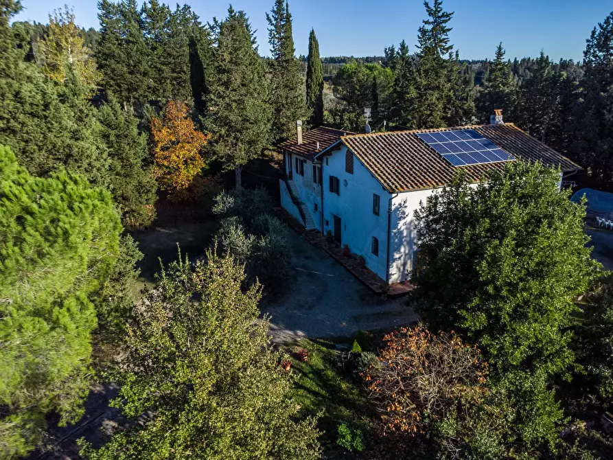 Immagine 17 di Azienda agricola in vendita  a Empoli