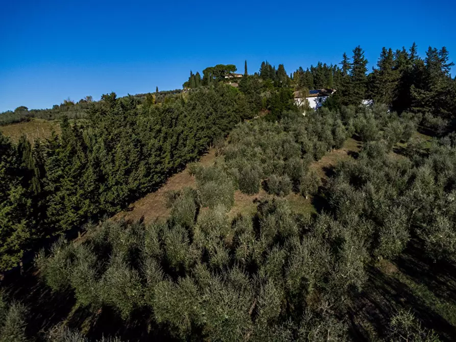 Immagine 10 di Azienda agricola in vendita  a Empoli