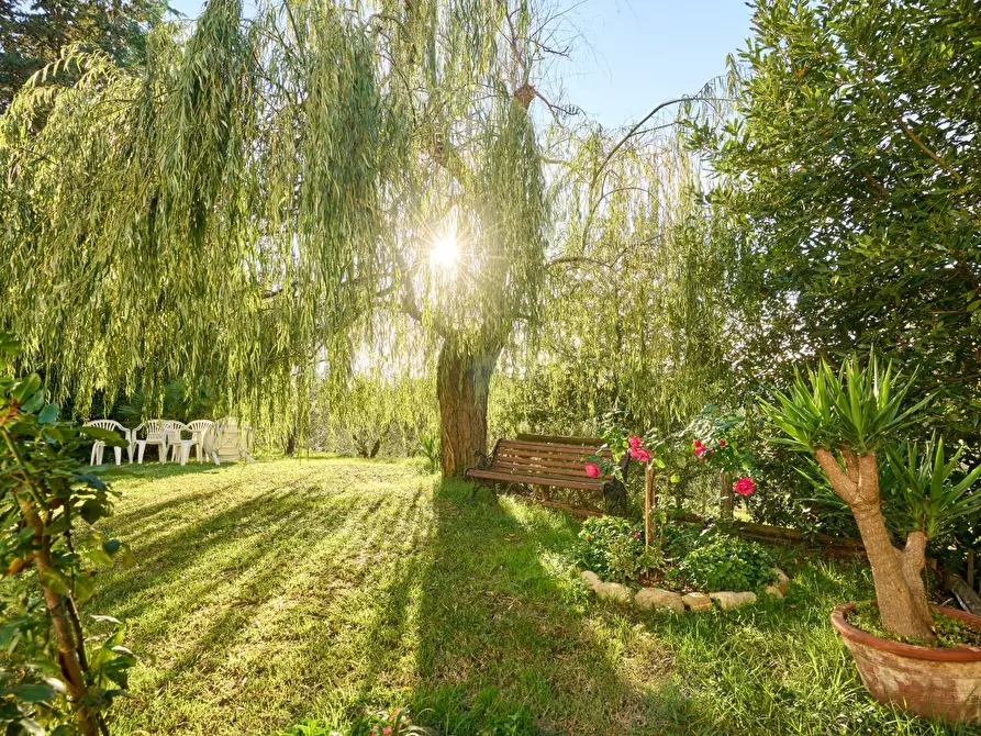 Immagine 41 di Azienda agricola in vendita  a Empoli