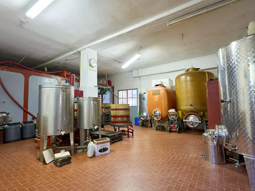 Immagine 26 di Azienda agricola in vendita  a Empoli