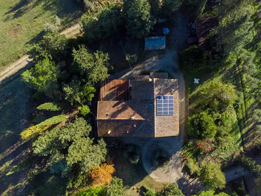 Immagine 19 di Azienda agricola in vendita  a Empoli