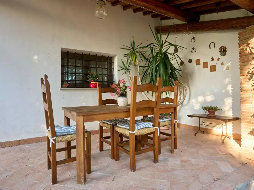 Immagine 43 di Azienda agricola in vendita  a Empoli