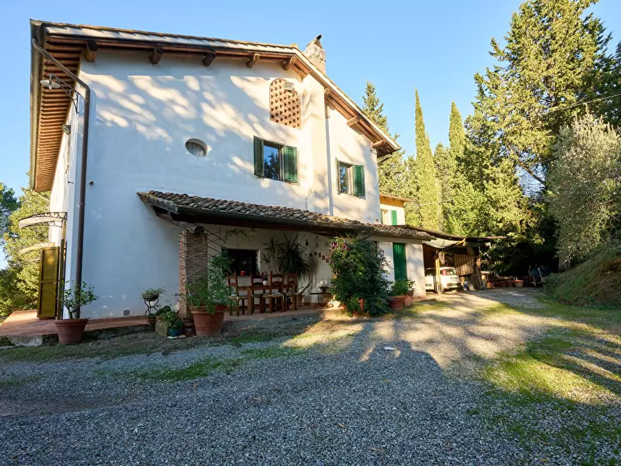 Immagine 42 di Azienda agricola in vendita  a Empoli