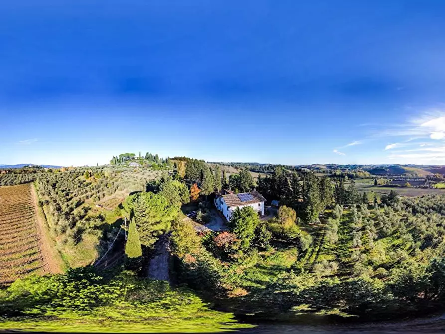 Immagine 2 di Azienda agricola in vendita  a Empoli